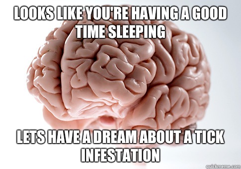 Looks like you're having a good time sleeping Lets have a dream about a tick infestation - Looks like you're having a good time sleeping Lets have a dream about a tick infestation  Scumbag Brain