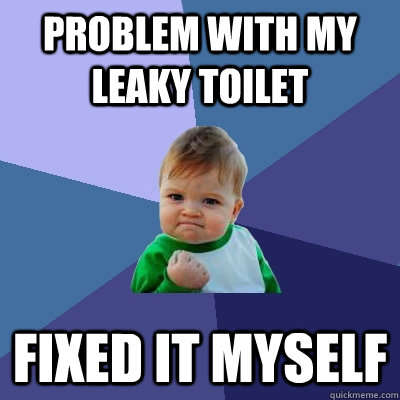 Problem with my leaky toilet Fixed it myself  Success Kid