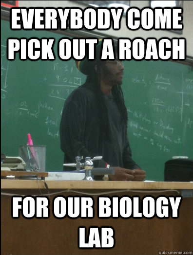 Everybody come pick out a roach  for our biology lab  Rasta Science Teacher