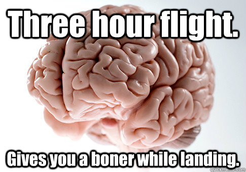 Three hour flight. Gives you a boner while landing.   Scumbag Brain