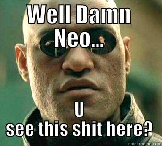 WELL DAMN NEO... U SEE THIS SHIT HERE? Matrix Morpheus