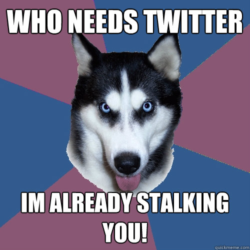 who needs twitter Im already Stalking you! - who needs twitter Im already Stalking you!  Creeper Canine