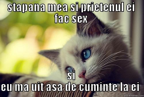 STAPANA MEA SI PRIETENUL EI FAC SEX SI EU MA UIT ASA DE CUMINTE LA EI  First World Problems Cat