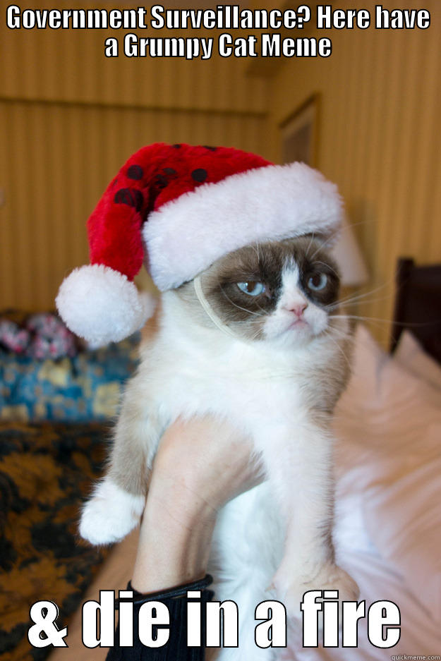 GOVERNMENT SURVEILLANCE? HERE HAVE A GRUMPY CAT MEME & DIE IN A FIRE Grumpy xmas