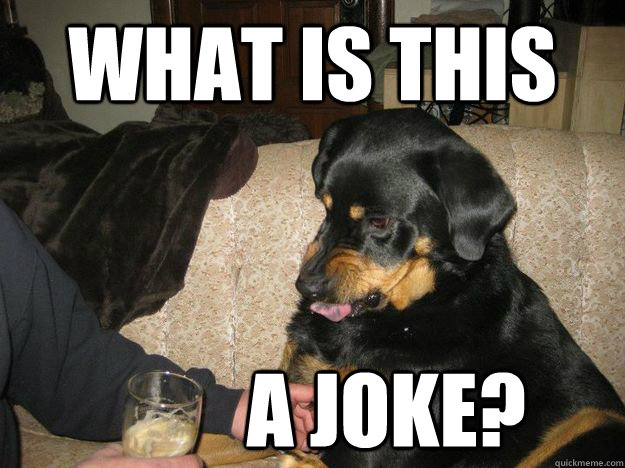 WHAT IS THIS A JOKE? - WHAT IS THIS A JOKE?  Beer Snob Dog