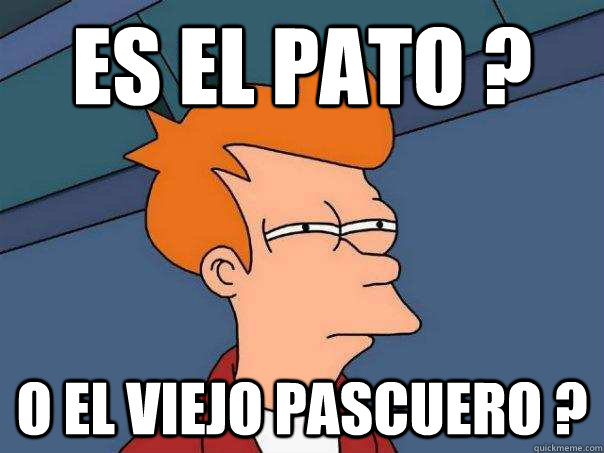 es el pato ?  o el viejo pascuero ?  Futurama Fry