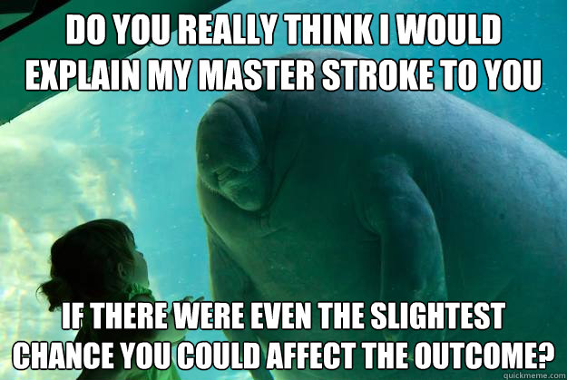 Do you really think I would explain my master stroke to you If there were even the slightest chance you could affect the outcome? - Do you really think I would explain my master stroke to you If there were even the slightest chance you could affect the outcome?  Overlord Manatee