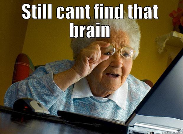 Cant find it - STILL CANT FIND THAT BRAIN  Grandma finds the Internet