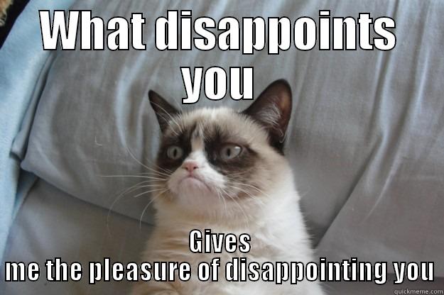 In your face, bitch - WHAT DISAPPOINTS YOU GIVES ME THE PLEASURE OF DISAPPOINTING YOU Grumpy Cat