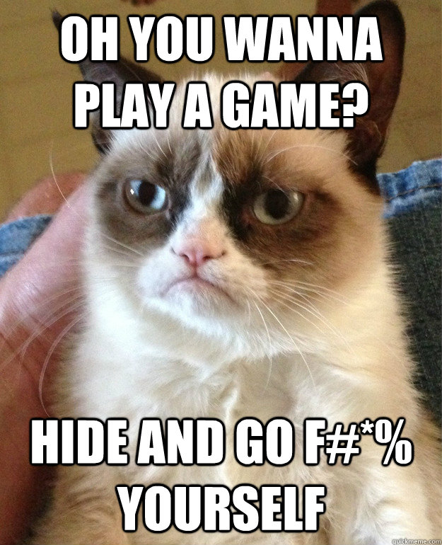 Oh you wanna play a game? Hide and go F#*% yourself  Grumpy Cat