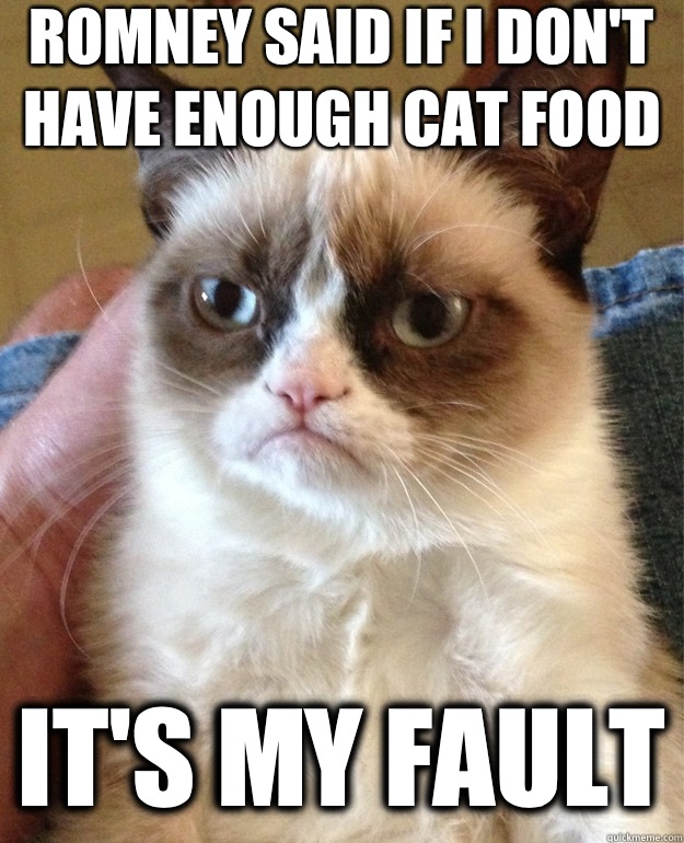 Romney said if I don't have enough cat food It's my fault  Grumpy Cat