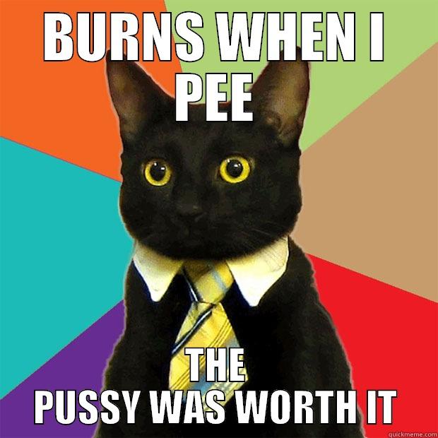 BURNS WHEN I PEE THE PUSSY WAS WORTH IT Business Cat