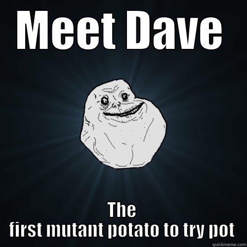 Dave the First - MEET DAVE THE FIRST MUTANT POTATO TO TRY POT Forever Alone