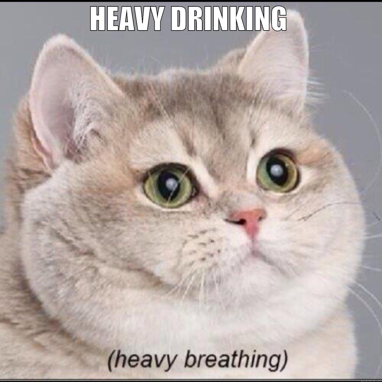 Heavy Drinking - HEAVY DRINKING  Misc