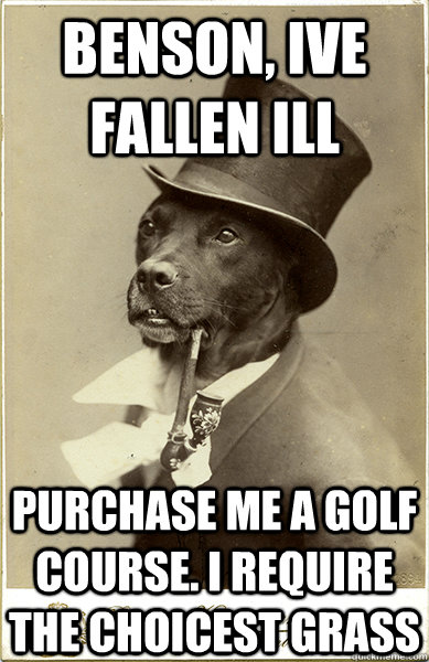 benson, ive fallen ill purchase me a golf course. I require the choicest grass  Old Money Dog