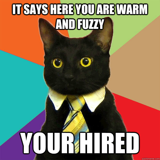 it says here you are warm and fuzzy your hired  Business Cat