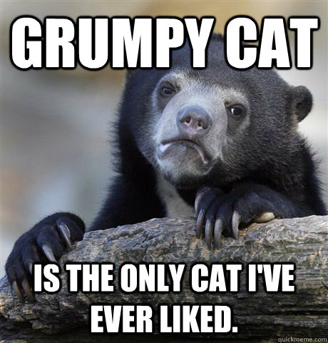 Grumpy Cat Is the only cat i've ever liked.  Confession Bear