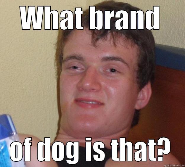 WHAT BRAND OF DOG IS THAT? 10 Guy