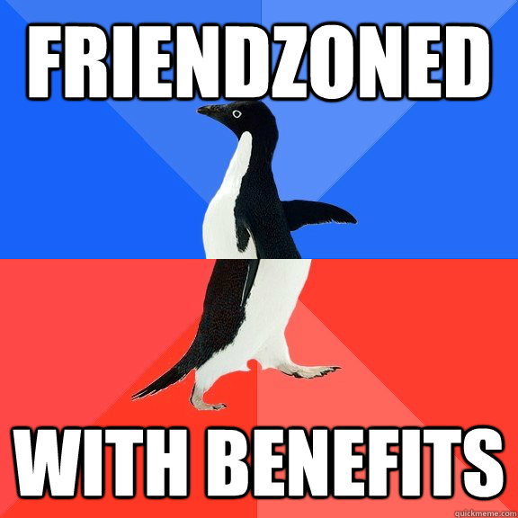 Friendzoned with benefits  Socially Awkward Awesome Penguin