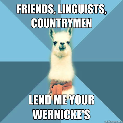 Friends, linguists, countrymen Lend me your Wernicke's  Linguist Llama