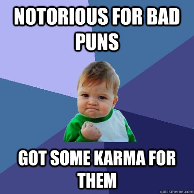 notorious for bad puns got some karma for them  Success Kid