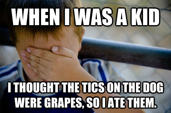 WHEN I WAS A KID I THOUGHT THE TICS ON THE DOG WERE GRAPES, SO I ATE THEM.  Confession kid