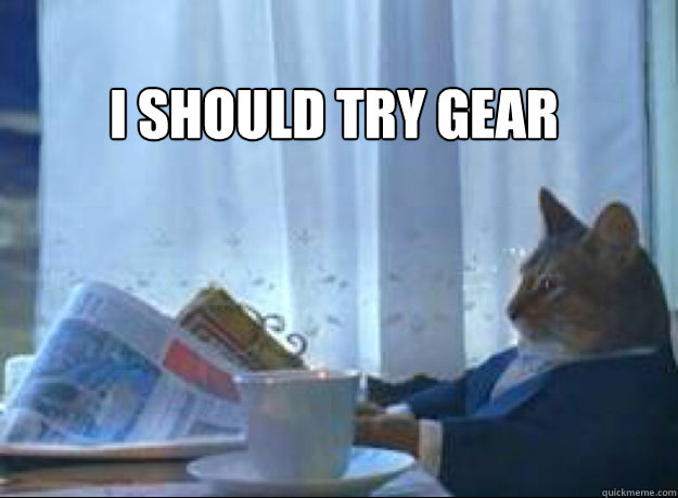 I Should try gear   I should buy a boat cat