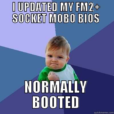 Fear~ wtf - I UPDATED MY FM2+ SOCKET MOBO BIOS NORMALLY BOOTED Success Kid