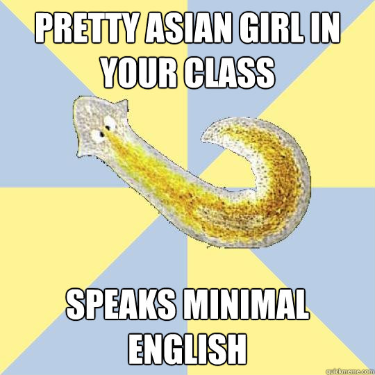 Pretty asian girl in your class Speaks minimal english  Bio Major Planarian