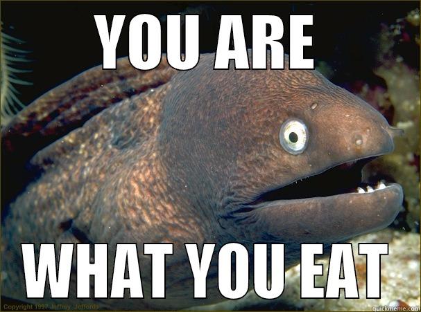 people say it's cold blooded cannibalism  - YOU ARE WHAT YOU EAT Bad Joke Eel