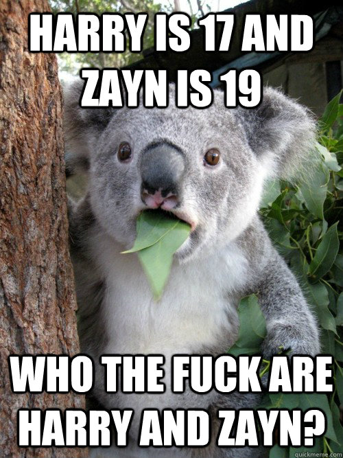 Harry is 17 and Zayn is 19 who the fuck are Harry and Zayn?  koala bear