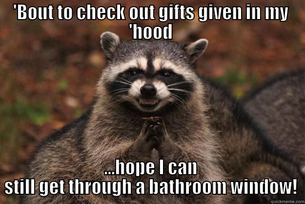 'BOUT TO CHECK OUT GIFTS GIVEN IN MY 'HOOD ...HOPE I CAN STILL GET THROUGH A BATHROOM WINDOW! Evil Plotting Raccoon