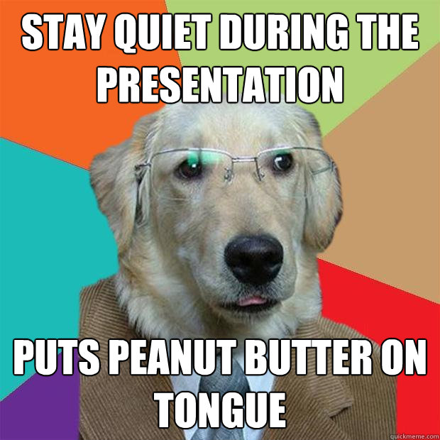 Stay quiet during the presentation puts peanut butter on tongue  Business Dog