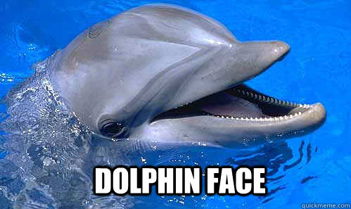 Dolphin face  - Dolphin face   Misc