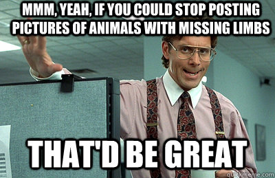 Mmm, yeah, If you could stop posting pictures of animals with missing limbs that'd be great  Office Space