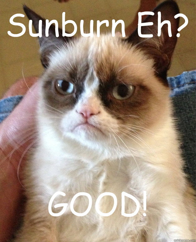 Sunburn Eh? GOOD!  Grumpy Cat