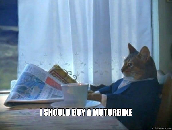  I should buy a motorbike  morning realization newspaper cat meme