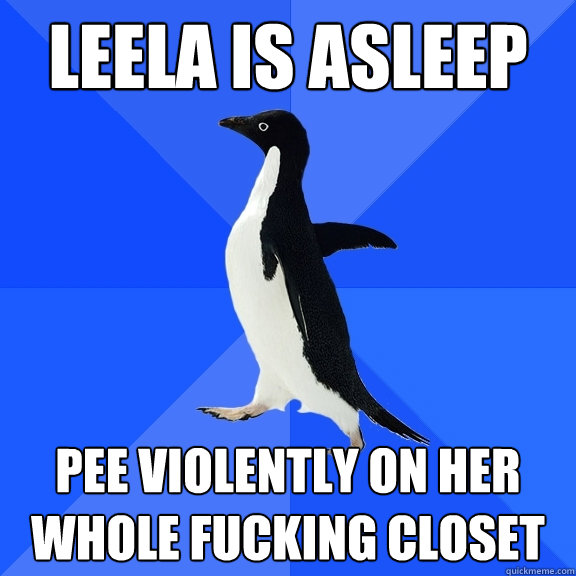 leela is asleep pee violently on her whole fucking closet  Socially Awkward Penguin