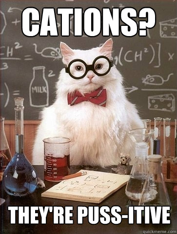 cations? they're puss-itive - cations? they're puss-itive  Chemistry Cat