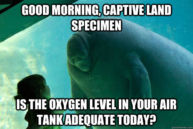 Good morning, captive land specimen Is the oxygen level in your air tank adequate today?  Overlord Manatee