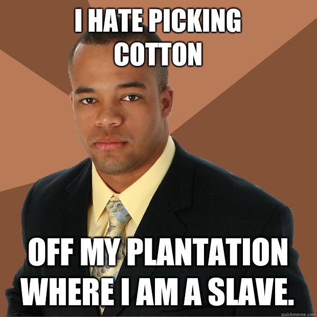 I hate picking 
cotton off my plantation where I am a slave.   Successful Black Man