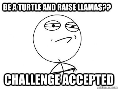 Be a turtle and raise llamas?? challenge accepted  Challenge Accepted