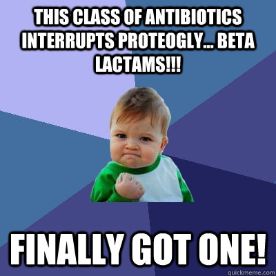 This class of antibiotics interrupts proteogly... BETA lactams!!!  Finally got one!  Success Kid