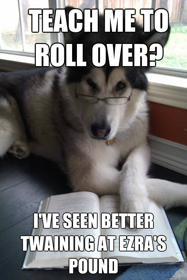 teach me to roll over? i've seen better twaining at ezra's pound  Condescending Literary Pun Dog