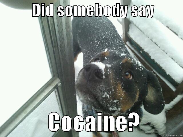 COCAINE PLZ -            DID SOMEBODY SAY                       COCAINE?          Misc