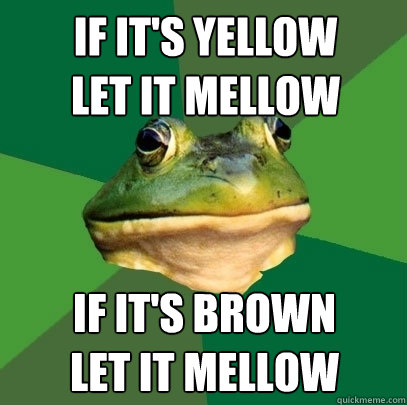 if it's yellow
let it mellow if it's brown
let it mellow  Foul Bachelor Frog