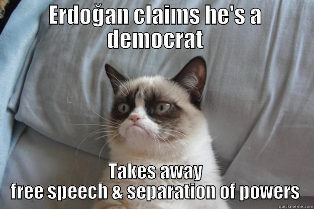 ERDOĞAN CLAIMS HE'S A DEMOCRAT TAKES AWAY FREE SPEECH & SEPARATION OF POWERS Grumpy Cat