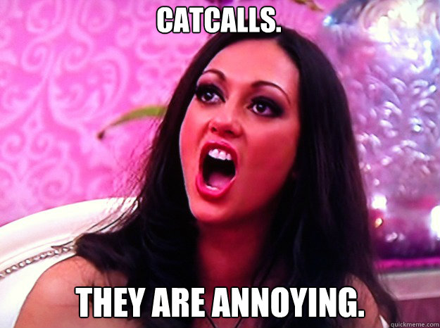 catcalls. they are annoying.  Feminist Nazi