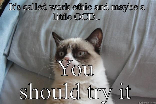 IT'S CALLED WORK ETHIC AND MAYBE A LITTLE OCD.. YOU SHOULD TRY IT Grumpy Cat