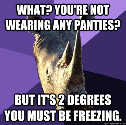 What? You're not wearing any panties? But it's 2 degrees you must be freezing.  Sexually Oblivious Rhino